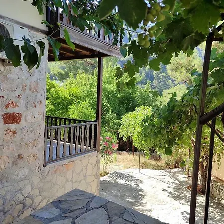 Vila Kalkan Islamlar'da Tas Ev *